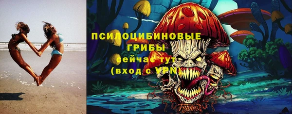 шишки Алексеевка