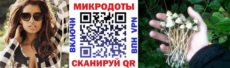 ссылка на мегу ссылки  где найти   Курган  Галлюциногенные грибы Magic Shrooms 