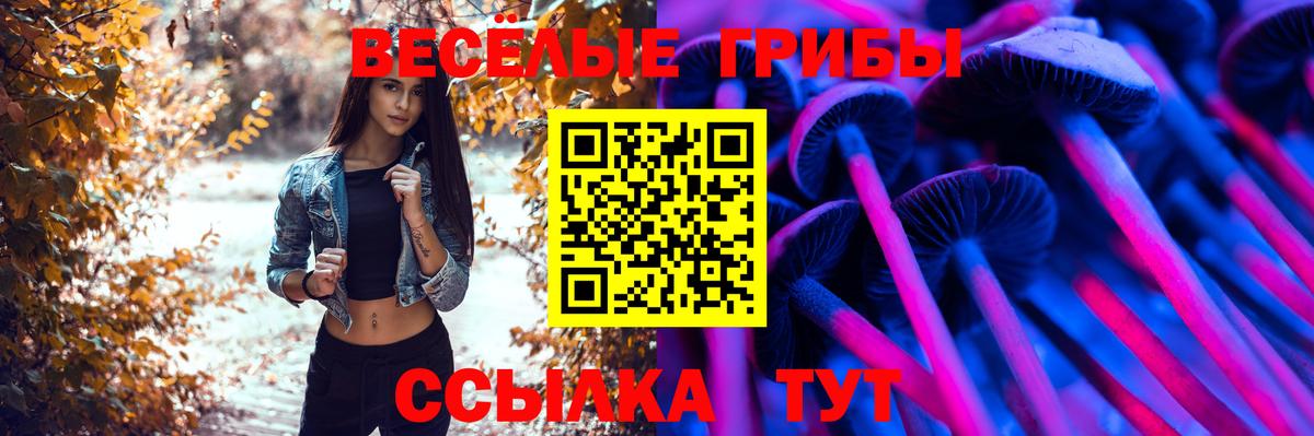 Курган  Галлюциногенные грибы Magic Shrooms  Вход с VPN 