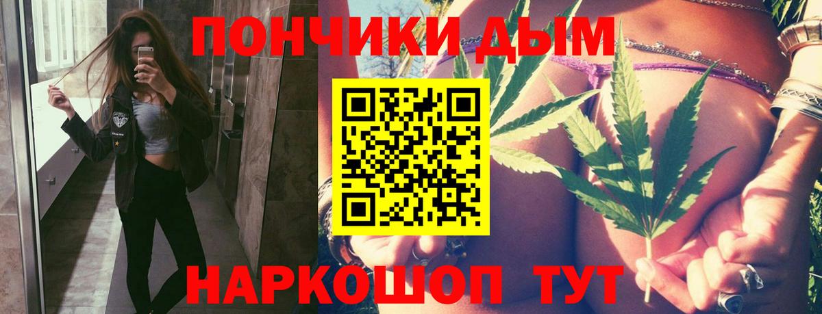 Марихуана семена  Канабис сатива  Курган  Бошки Шишки SATIVA & INDICA  Вход с VPN 